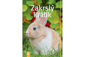 Zakrslý králík