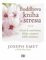 Buddhova kniha o stresu - Cesta k vnitřnímu klidu s pomocí bdělé meditace