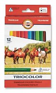 Koh-i-noor pastlky TRIOCOLOR trojhranné souprava 12 ks