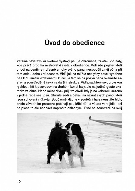 Náhled Obedience - vysoká škola psí poslušnosti