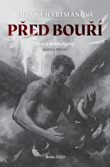 Náhled Před bouří