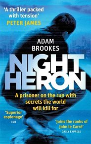 Night Heron (Philip Mangan series 1)