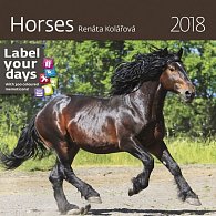 Kalendář nástěnný 2018 - Horses