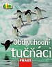 Obdivuhodní tučňáci (edice čti+)