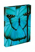 BAAGL Desky na školní sešity A4 - Butterfly