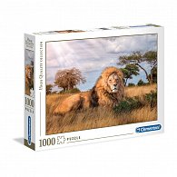 Puzzle 1000 dílků Lev