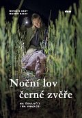 Noční lov černé zvěře - Na šoulačce i na vnadišti