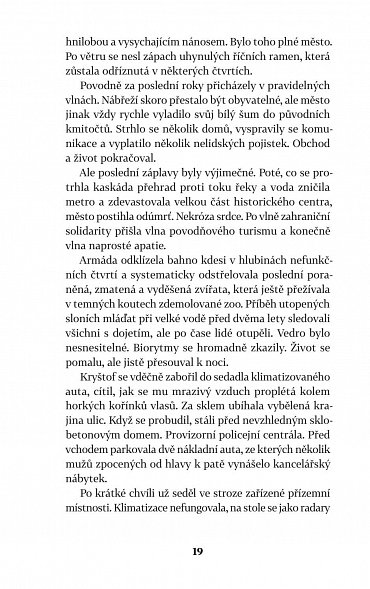 Náhled Chyba, 2.  vydání