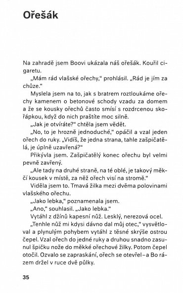 Náhled Až přijde noc