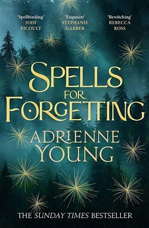 Spells for Forgetting: the magical and compelling mystery perfect for winter nights