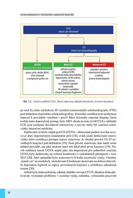 Náhled Ultrasonografie v intenzivní a urgentní medicíně