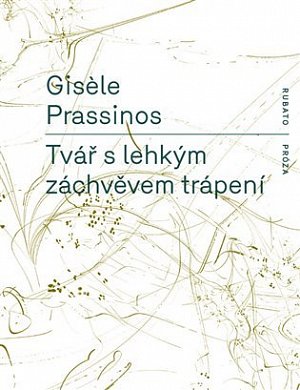Tvář s lehkým záchvěvem trápení