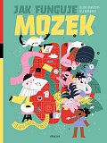 Jak funguje mozek?