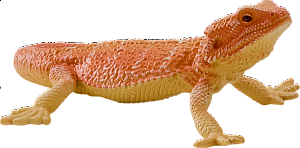 Agama vousatá figurka