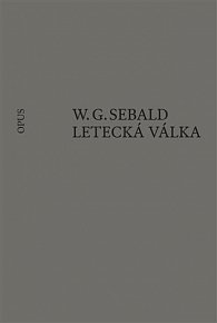 Letecká válka a literatura