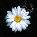 Dopisy z květin (20th Anniversary) (CD)