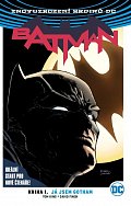 Batman - Já jsem Gotham