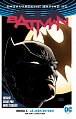 Batman - Já jsem Gotham