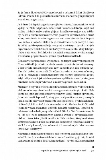 Náhled Vedení na vyšší úrovni