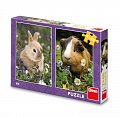 Puzzle Králíček a morče 2 x 48 dílků