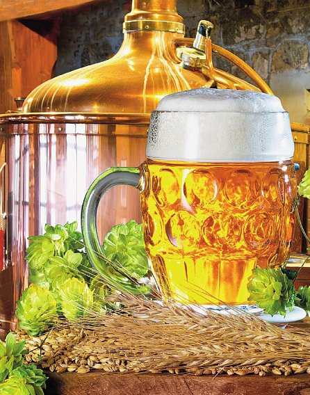 Náhled Pivařka - Tajemství domácího pivovarnictví