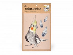Nažehlovačka M 081 - Korela chocholatá