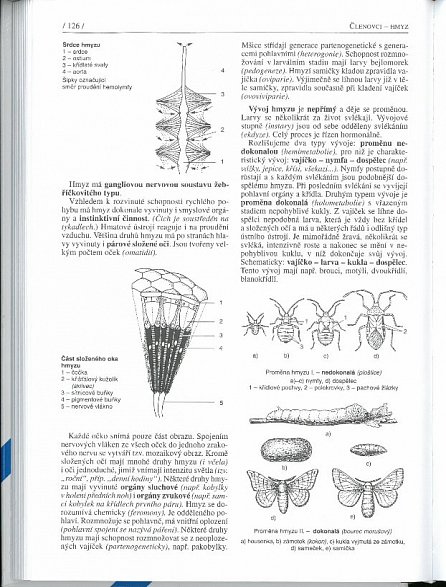 Náhled Biologie pro gymnázia - 10. vydání