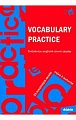 Vocabulary Practice