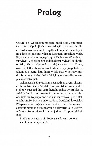 Náhled Chyba, 2.  vydání