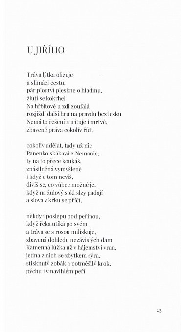 Náhled S andělíčkem v dlani