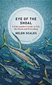 Eye of the Shoal : A Fishwatcher´s Guide to Life, the Ocean and Everything