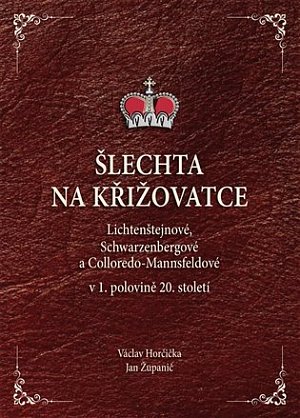 Šlechta na křižovatce - Lichtenštejnové, Schwarzenbergové a Colloredo-Mannsfeldové v 1. polovině 20. století