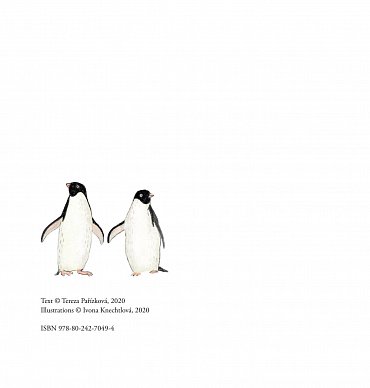 Náhled Stela v zemi tučňáků