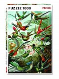 Puzzle Haeckel: Kolibris 1000 dílků