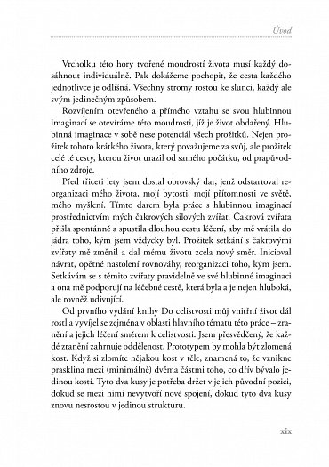 Náhled Do celistvosti - Cesta hlubinné imaginace