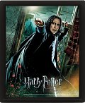 Harry Potter Obraz 3D - Snape
