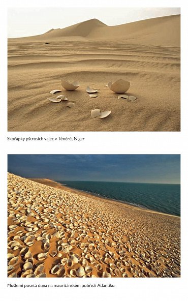 Náhled Podstata pouště: Kde se v poušti bere písek a proč duny zpívají - objevování fascinujícího světa