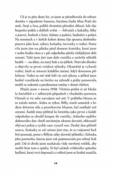 Náhled Ptačí domek