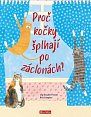 Proč kočky šplhají po záclonách? - Vše o kočkách