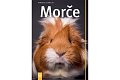 Morče