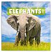 Poznámkový kalendář Šťastní sloni 2023 - nástěnný kalendář
