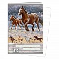 Sešit A5, 10 listů, typ 512 Wild horses