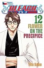 Bleach 12: Flower on the Precipice