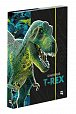 Box na sešity A5 Premium - Dinosaurus
