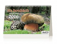 Kalendář stolní 2016 - Na houbách