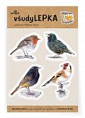 všudyLEPKA vel. 1 -042 - Ptáci na krmítku