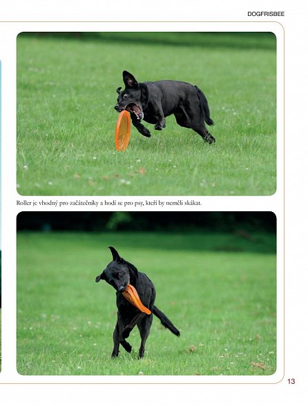 Náhled Dog Frisbee