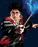 Malování podle čísel 40 x 50 cm Harry Potter - Harry a hůlka