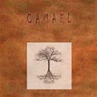 Camael - CD