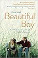 Beautiful Boy : A Father´s Journey Through His Son's Addiction
